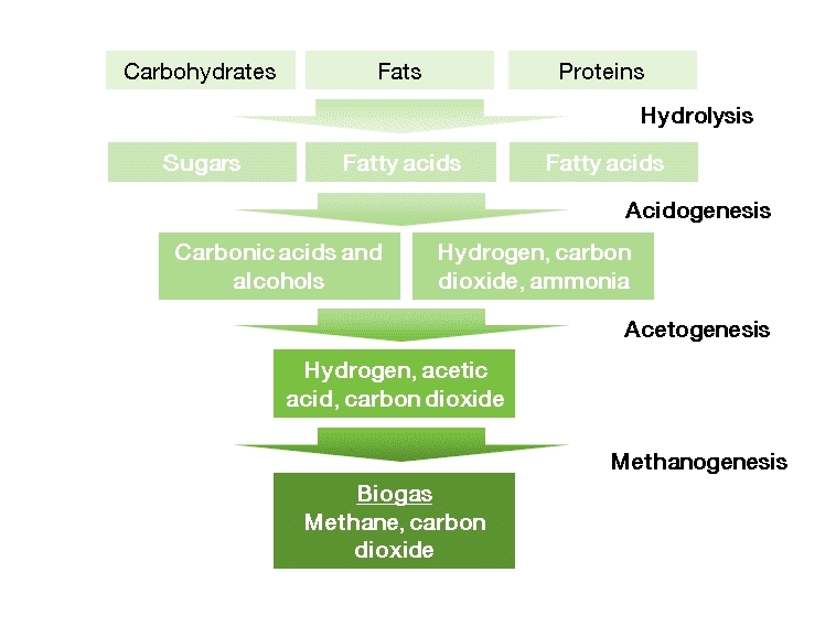 Biogas formation c